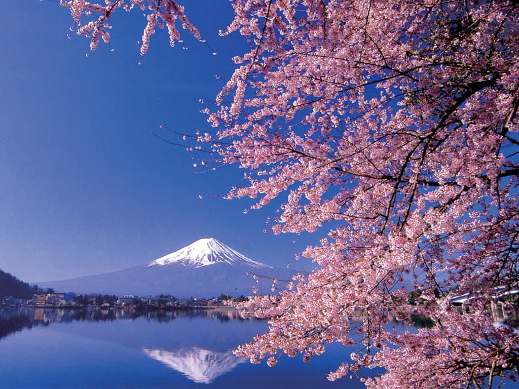 富士山と箱根1日ツアー (帰りのみ新幹線乗車) 1