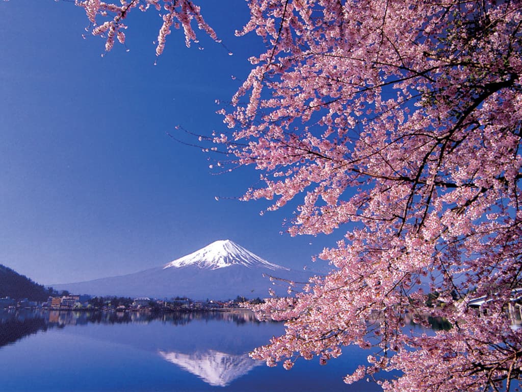 富士山と箱根訪問終日ツアー (バスで戻る) 1