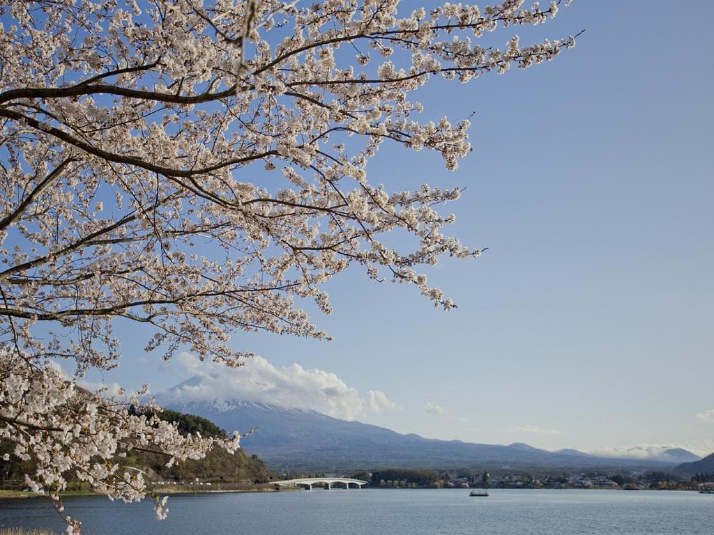Mt. Fuji With Kawaguchico Lake And Oshino Hakkai - Full-Day Tour