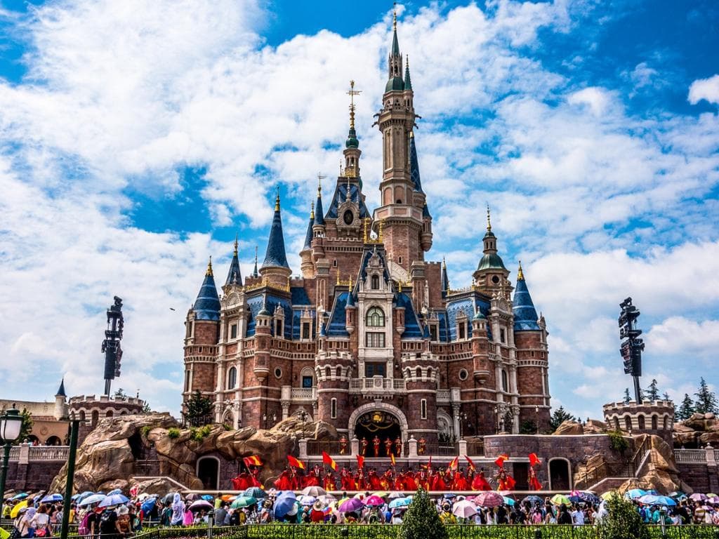 Tokyo DisneyLand Park 1-Day Ticket and Private Transfer 1