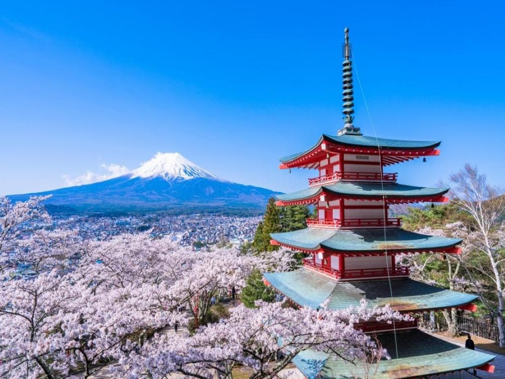 Explore Mount Fuji Area  with Customizable Itinerary - Full-Day Private Tour