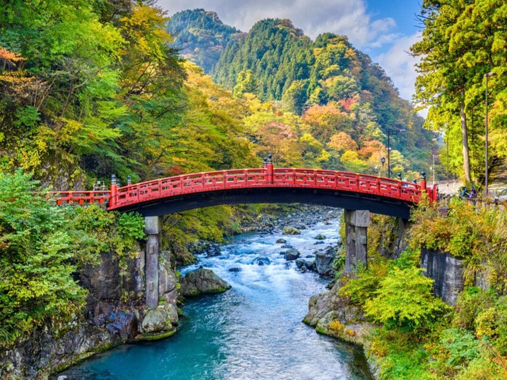  Explore Nikko with Customizable Itinerary - Full-Day Private Tour 1