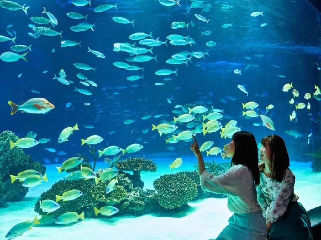 Sunshine Aquarium - Ticket