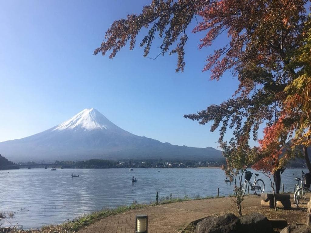 Explore Mt. Fuji and Hakone - Full-Day Tour 