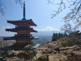 富士山絶景＋抹茶づくり＋ショッピング 1日ツアー