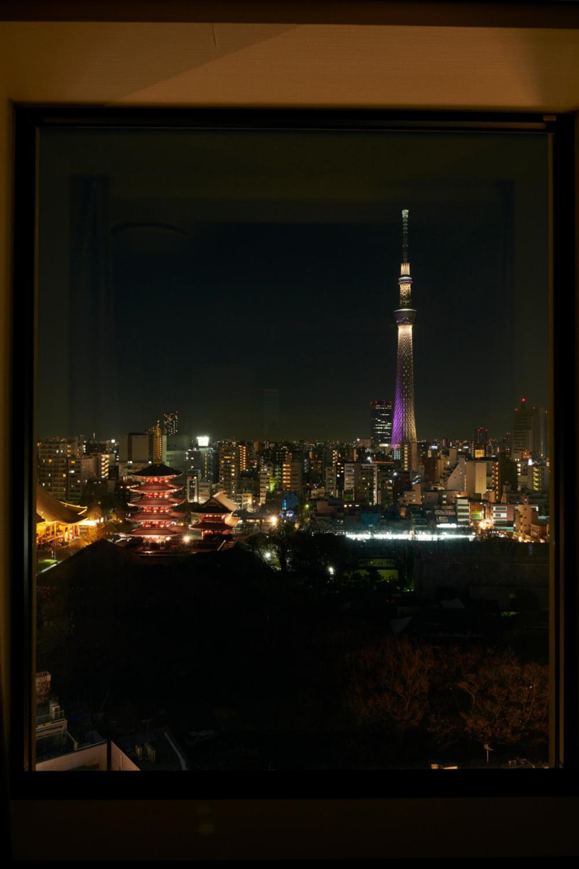 Richmond Hotel Premier Asakusa International 1