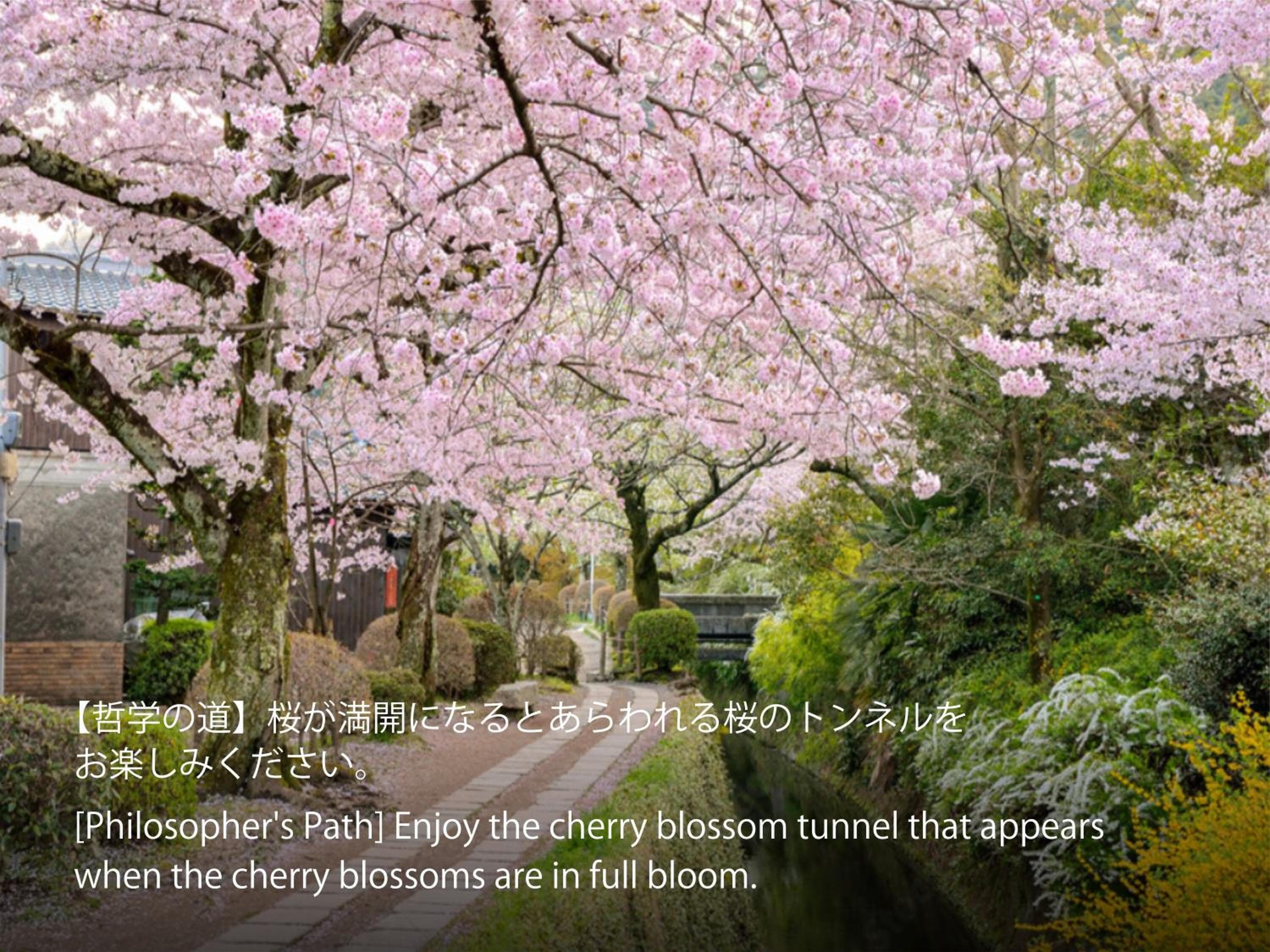 Hotel Resol Trinity Kyoto 3