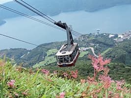 富士山と箱根1日ツアー (帰りのみ新幹線乗車)