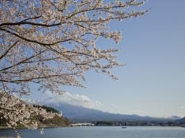 Mt. Fuji With Kawaguchico Lake And Oshino Hakkai - Full-Day Tour