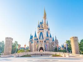 Tokyo DisneyLand Park 1-Day Ticket and Private Transfer